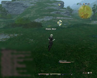 ffxivgame 2010-09-28 00-21-36-42.jpg